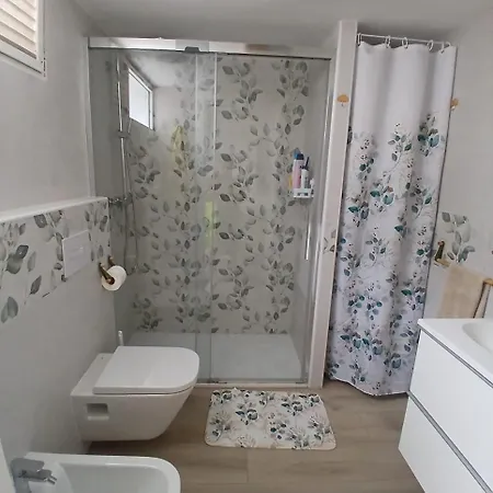 Papaya 德尔锡伦西奥海岸