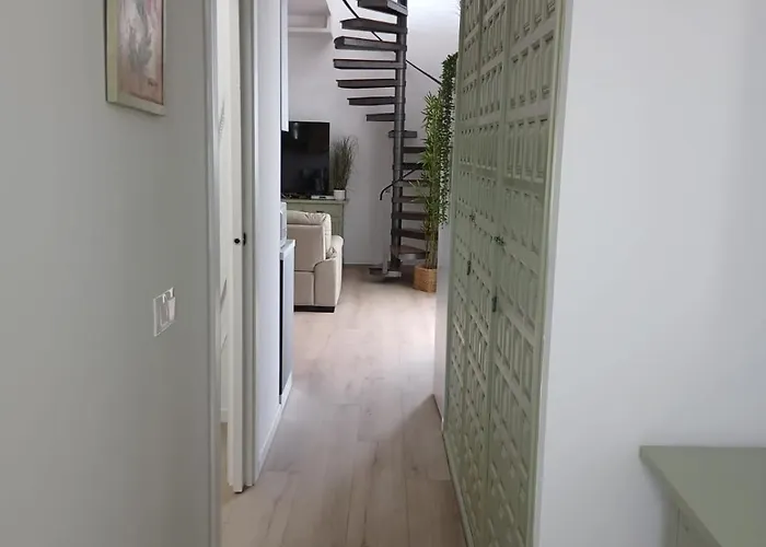 Papaya * 德尔锡伦西奥海岸