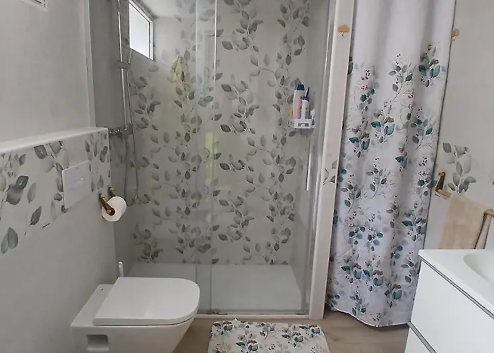 Papaya 德尔锡伦西奥海岸